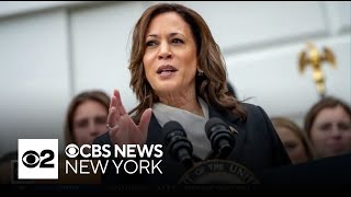 Kamala Harris secures Democratic nomination in virtual vote [upl. by Isteb]