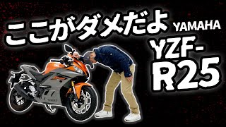 169 『ここが嫌だよ。YZFR25！』R25ライダーなら必ず気付くマニアックな【不満点】を解説。ツーリング時の疲労軽減の為に立体的な振動？リアサス？を改善したいんじゃw [upl. by Kameko]