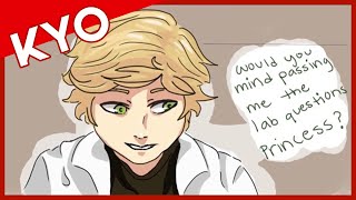 Princess Hilarious Miraculous Ladybug Comic Dub [upl. by Iturhs]