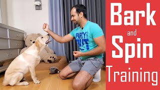 How to Train your DogPuppy to Bark Speak and Spin  Easy Home Training [upl. by Aihsital868]