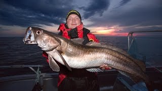 Angeln in Norwegen Seehecht und Großdorsch vor Averøy Averoy Region Hitra Smøla [upl. by Durware]