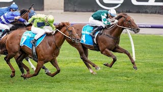 FIRST SETTLER wins the G2 Danehill Stakes [upl. by Tome]