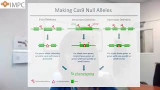 CRISPRCas9 and mouse genomics  Lauryl Nutter [upl. by Jarrid149]