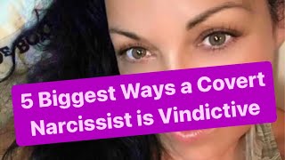 5 Biggest Ways a Covert Narcissist is Vindictive  Covert Narcissists [upl. by Ettenot]