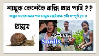 শামুক কেনেকৈ ৰান্ধি খাব পাৰি  শামুকৰ প্ৰাকৃতিক খেতি । শামুকৰ ৰন্ধন আৰু উপকাৰিতাৰ কথাৰে । [upl. by Enaillil]