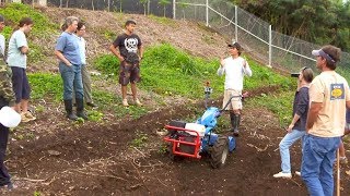 New farmers cultivated by GoFarm Hawaii [upl. by Anairuy501]