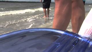 Hilton Head Shark Attack [upl. by Etnoid]