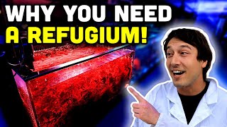 Does Your Tank NEED a Refugium [upl. by Brighton272]