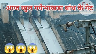 भाखड़ा बांध के गेट आज खुल गएbhakhra dam gate open bhakhra nangal [upl. by Geis]