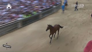 PROVA GENERALE  NICCHIO  PALIO DI SIENA 2 LUGLIO 2024 [upl. by Hanej]