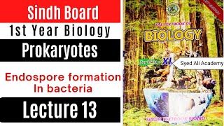 Endospore formation in bacteria  prokaryotes  class 11 1st Year biology Sindh text book board [upl. by Wilmott796]