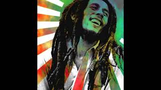 Dub Marley Psychill Reggae Psydub [upl. by Yur]