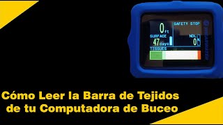 Cómo Leer el Compartimiento de Tejido de tu Computadora de Buceo [upl. by Weyermann334]