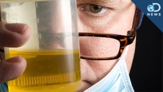 5 Unique Uses for Urine [upl. by Dougall109]