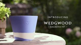 Introducing The Wedgwood Burlington Pot [upl. by Colette583]