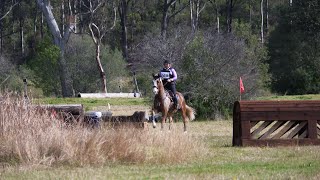 Denman Horse Trials 2024 including our AnEventfulLifeXCVideo [upl. by Aciras]