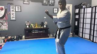 Naihanchi Sandan  Shorin Ryu Kyudokan Higate Karatedo [upl. by Ahso]