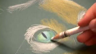 Drawing with Color Pencils [upl. by Llednar]