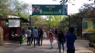 Chhatbir Zoo Zoological Park Zirakpur India [upl. by Filahk]