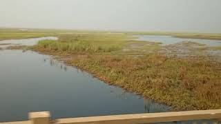 Bangweulu wetlands  Tuta Bridge [upl. by Tnelc]