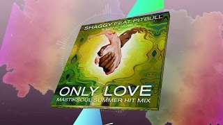 Shaggy  Only Love ft Pitbull Gene Noble  Mastiksoul Summer Hit Mix Lyric Video [upl. by Aillimat]