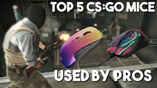 Top 5 Mice for CSGO  What do the Pros use [upl. by Dix833]