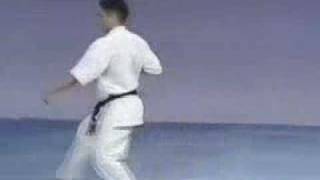 Kyokushin karate kata nr1 [upl. by Latreese18]