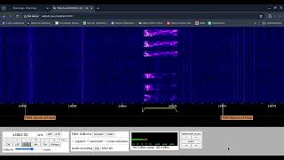 E07 English Man 25072024 1430 UTC 14862kHz [upl. by Aieka729]