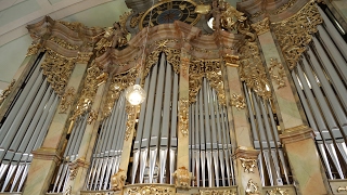 Neue Kirchenorgel in Vilshofen  So schön klingt die Orgel  Orgelstimmen und Feinarbeit [upl. by Cheyne]