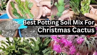 How To Propagate Christmas Cactus Cuttings  SIMPLE AND EASY Way Best Potting Mix amp All Care [upl. by Cand]