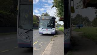 Maldon bus arriving  Maldon  Claremont Garden trip  051024 [upl. by Sairu]