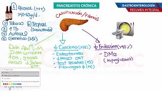 Gastroenterología  Pancreatitis cronica [upl. by Asirap]