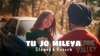 JUSS  Tu Jo Mileya Slowed amp Reverb MixSingh  New Punjabi Romantic Song 2024 [upl. by Manbahs]