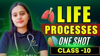 life processes class 10 biology  full video one shot [upl. by Ina]