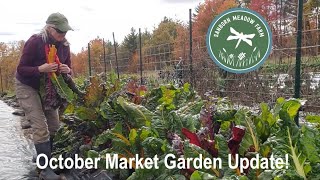 October Market Garden Update [upl. by Yelda]