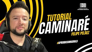 Caminaré Tutorial acordeón  Felipe Peláez [upl. by Eedissac794]