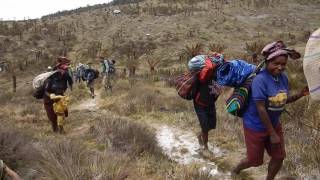 Seven Summits  Carstensz Pyramid 2015 [upl. by Anauqahc78]