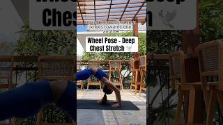 Up level your yoga practice with Wheel Pose  deep chest stretch and opener for energy boost yoga [upl. by Alaek]