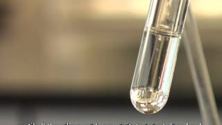 Using Tollens Reagent to Test for Aldehydes Silver Mirror Test [upl. by Bremer]