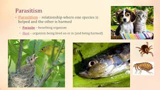 Symbiosis  Mutualism Parasitism Commensalism [upl. by Rigdon]