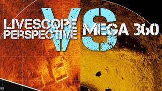 LiveScope Perspective VS Mega 360  Garmin VS Humminbird [upl. by Calendra]