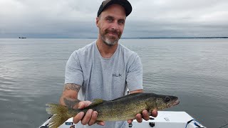 Oneida Lake fishing report  June 24 2023  From BLOWNEIDA to glass overnight [upl. by Eletnahs298]