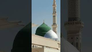 Masjid e Nabawi love ❤️ short status ❤️ [upl. by Atekehs]