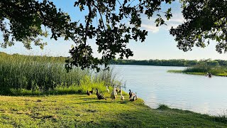 Sunshine Lake Weatherford Texas [upl. by Ytsur]