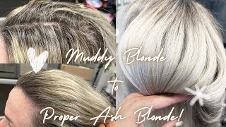 MUDDY BLONDE TO PROPER ASH BLONDE [upl. by Airamas]