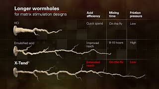 XTend® Acid Stimulation Service [upl. by Arleyne]