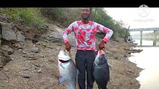 katla fishing  big fish  fishing video  fishing hunting  fishing food [upl. by Casandra865]