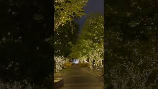 Lighting park travel japanexplorer japantravelvlog trending nature shorts nature explore [upl. by Allimac]