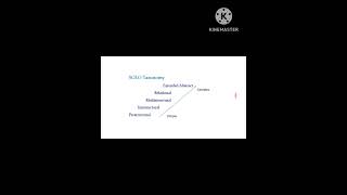 Levels of Solo Taxonomy  Curriculum Design  BSBscMsc students [upl. by Orel442]