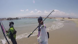 Fishing in Oman  Mirbat  Salalah [upl. by Weidner]